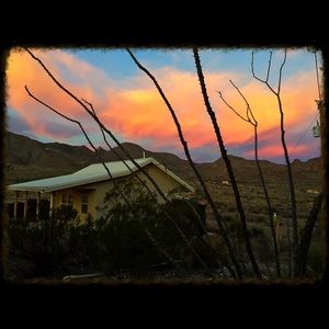 Meet your Posher, Debbie